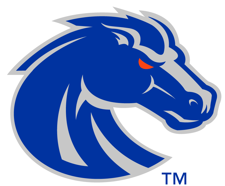 Boise State Broncos 2013-Pres Secondary Logo v2 diy DTF decal sticker